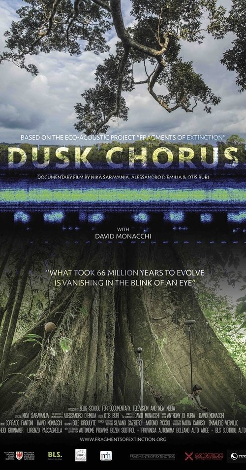 Dusk Chorus 2017