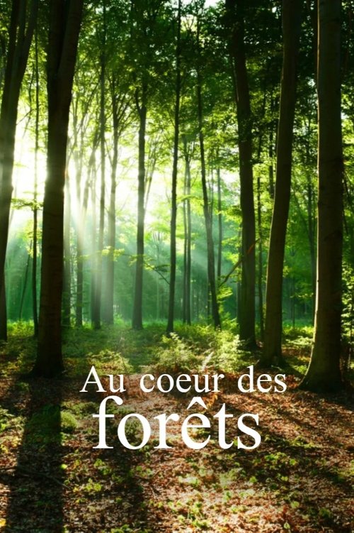 Au cœur des forêts