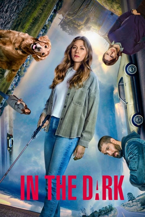 In the Dark poster