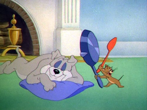 Poster della serie The Tom and Jerry Show