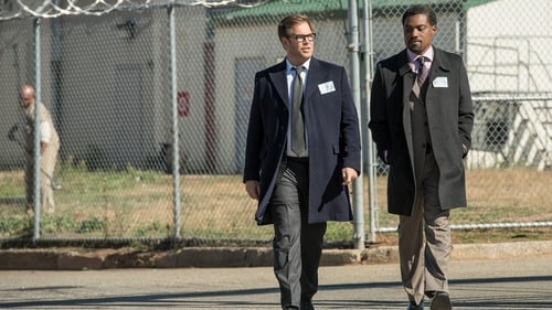 Bull: 2×9