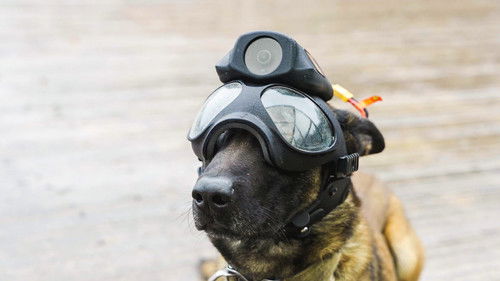 Image de l'épisode 1