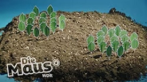 Image de l'épisode 14