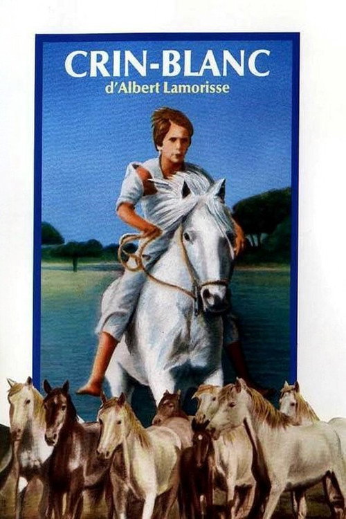 White Mane poster