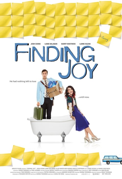 Finding Joy (2013)