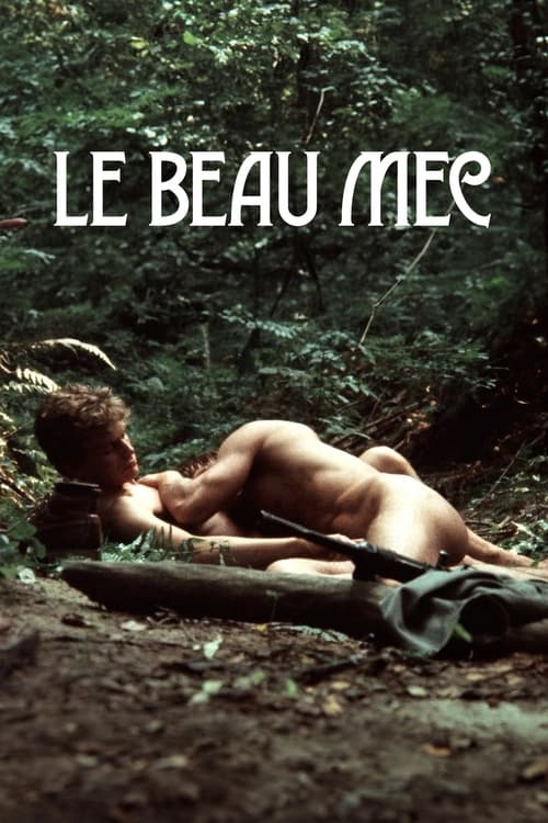 Le Beau Mec Movie Poster Image