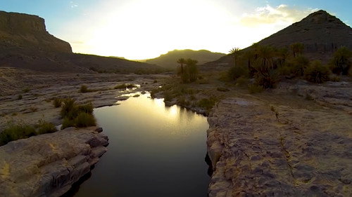 Twïza, L'Aventure Algérienne