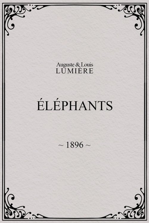 Elephants