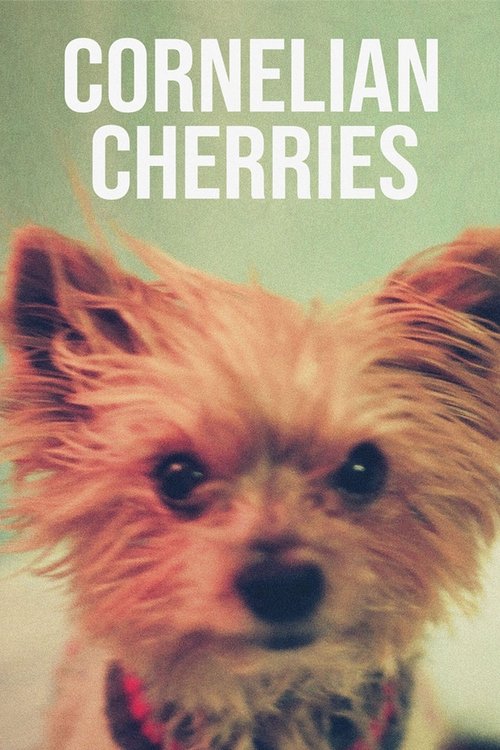 Cornelian Cherries Movie Poster Image