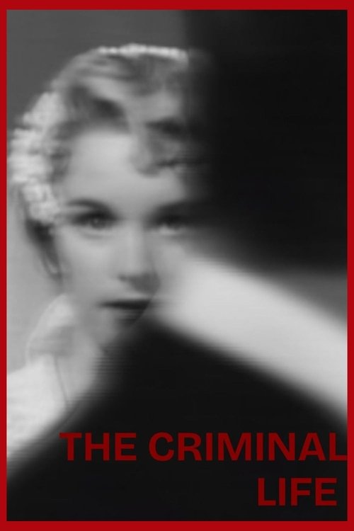 Poster 7