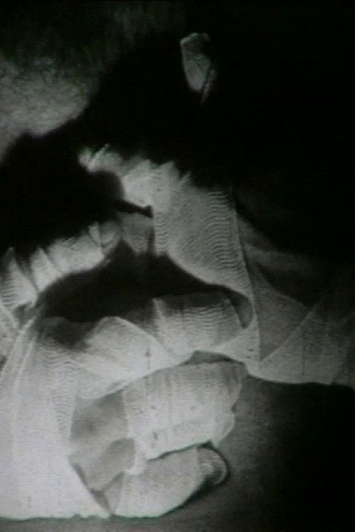 La guardia nazionale e i cretini amari