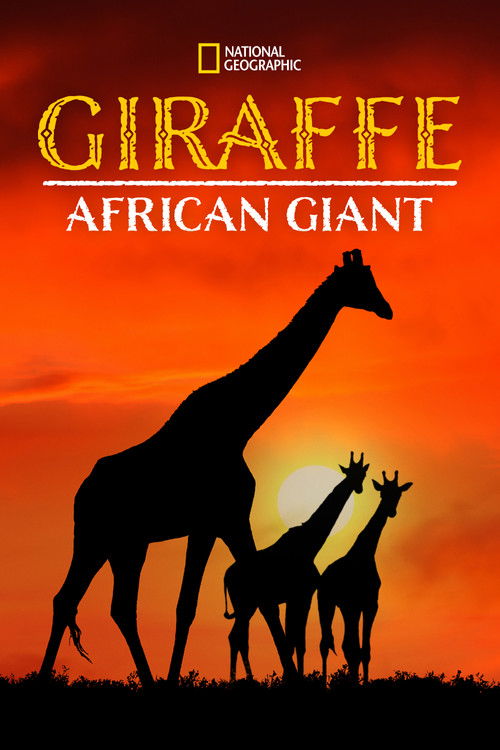 Giraffe: African Giant poster