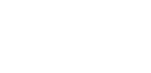 The Bid