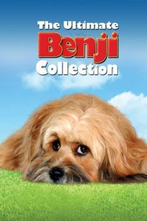 The Benji Collection