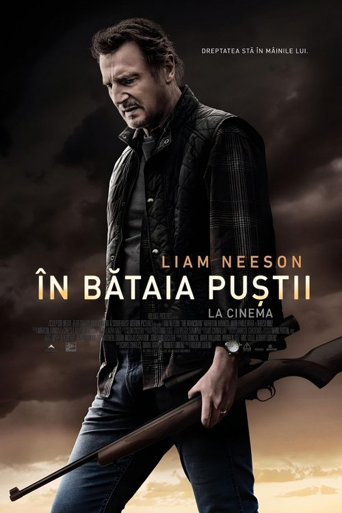 Poster pentru The Marksman: În bătaia puștii