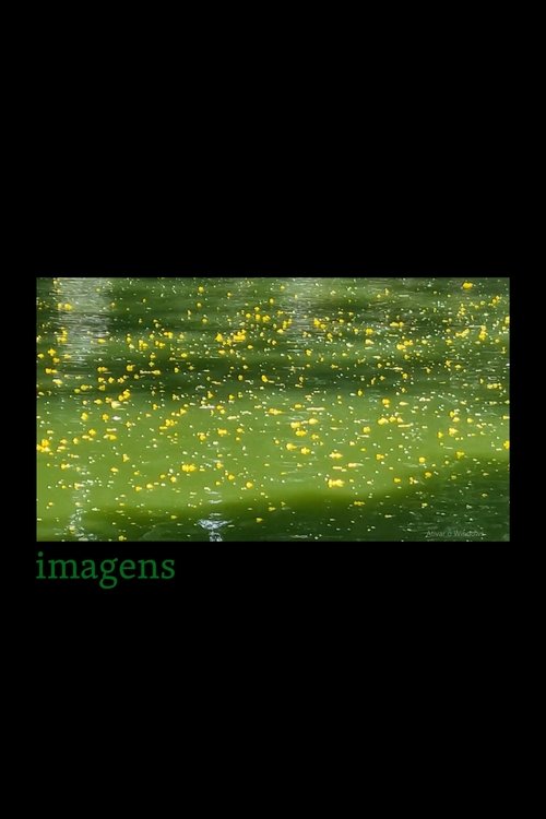 Críticas 17 Imagens