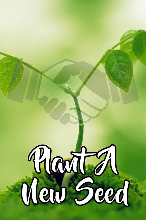 Plant A New Seed