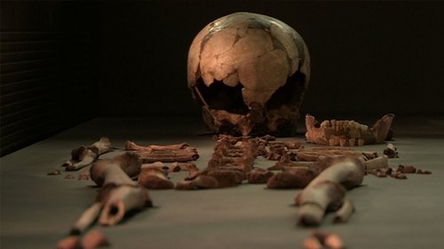 Homo sapiens, l'homme moderne