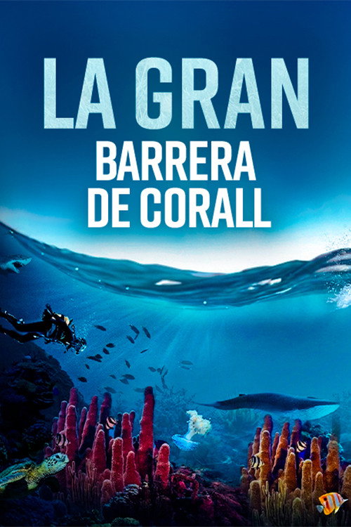 Escena 6 de The Great Barrier Reef: A Living Treasure