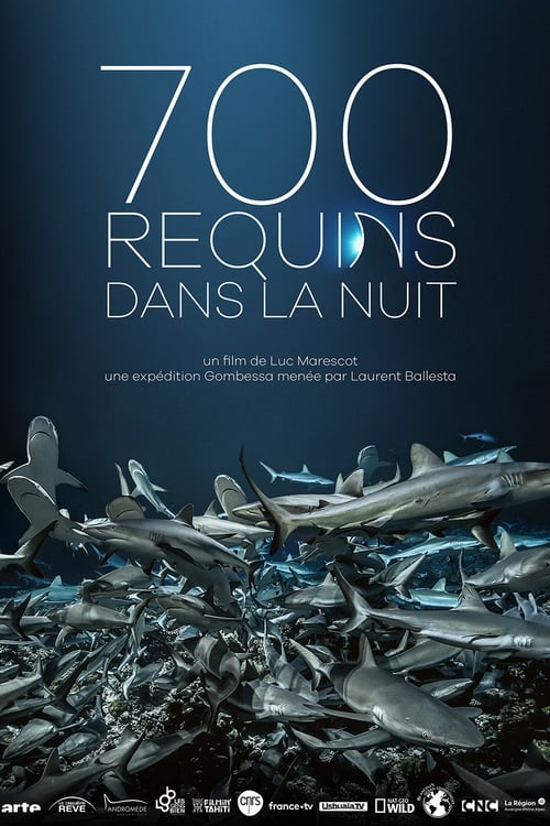 700 Requins Dans La Nuit (2018)