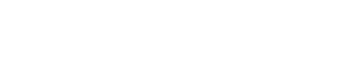 Brocade Odyssey
