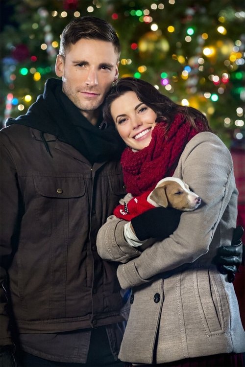 Debbie Macomber's Dashing Through The Snow poster