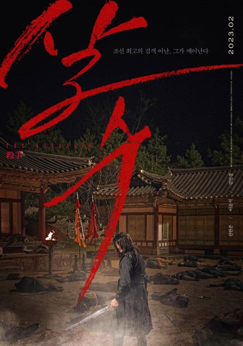 The Assassin poster