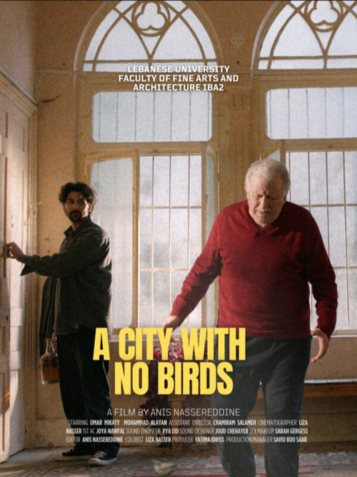 A City With No Birds