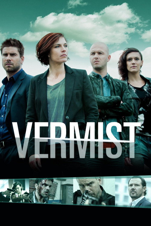 Póster de Vermist