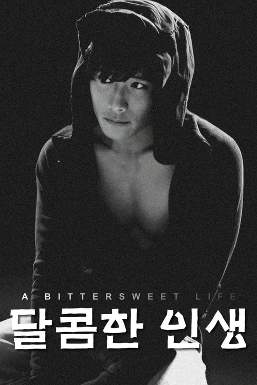 A Bittersweet Life poster