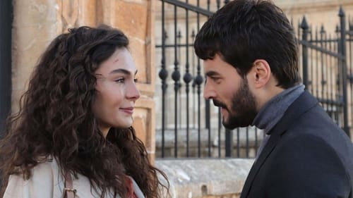 Poster della serie Hercai