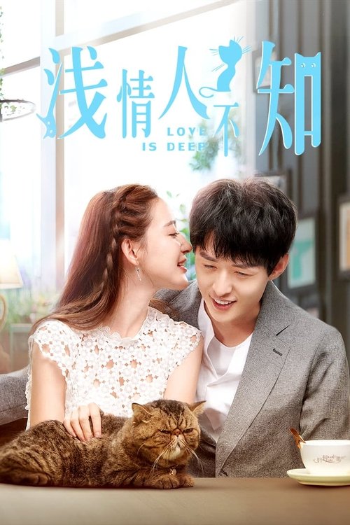 Ver temporada 1 de 浅情人不知 Póster de la temporada 1 de la serie 浅情人不知
