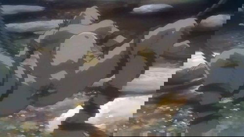 Image de l'épisode 4