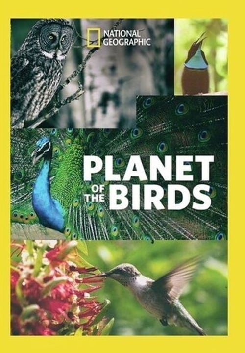 Planet of the Birds 2018