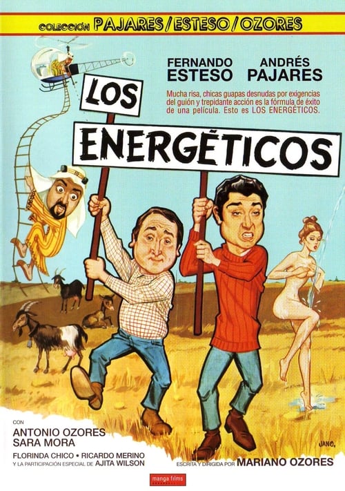 Los energéticos 1980