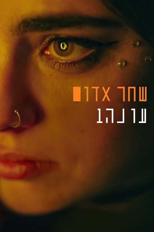 Poster de la saison 1