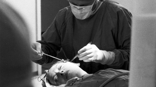 Daisy: The Story of a Facelift