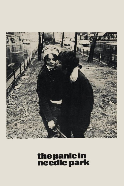 The Panic in Needle Park poster