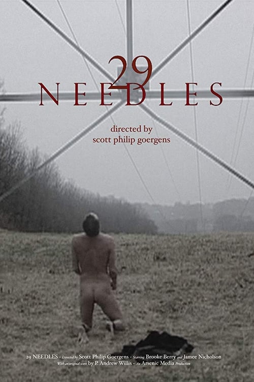 29 Needles Movie Poster Image