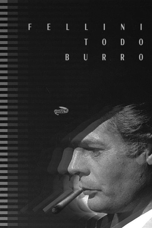 FELLINI TODO BURRO (um filme caseiro) still 2