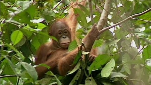 Image de l'épisode 4