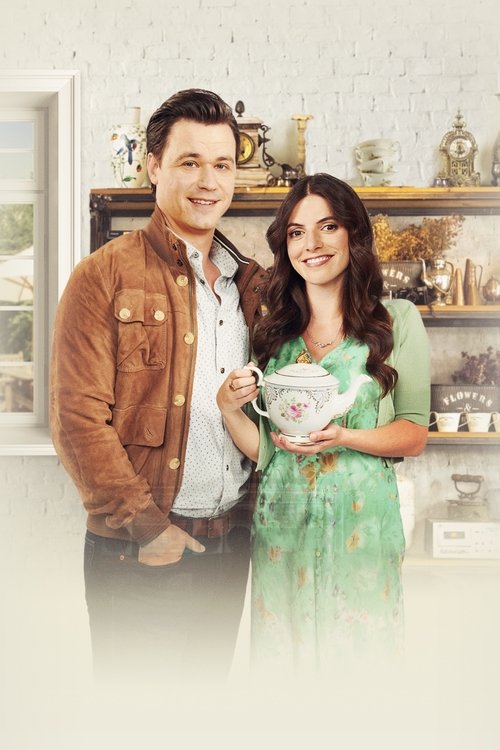 A Priceless Love poster
