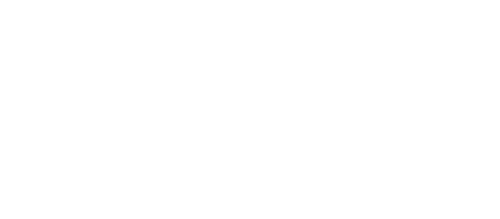 Freedom Fighters: The Ray