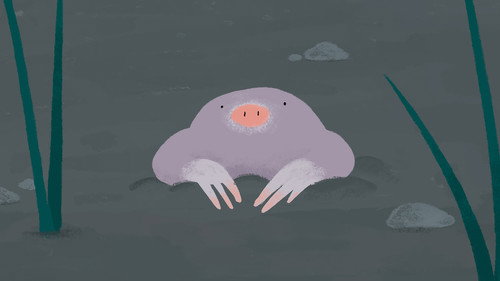 La colline aux cailloux (Programme)