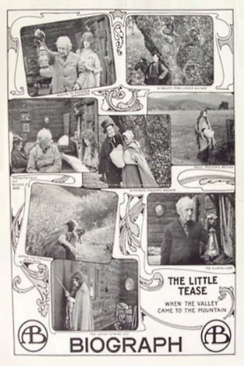 The Little Tease (1913) poster