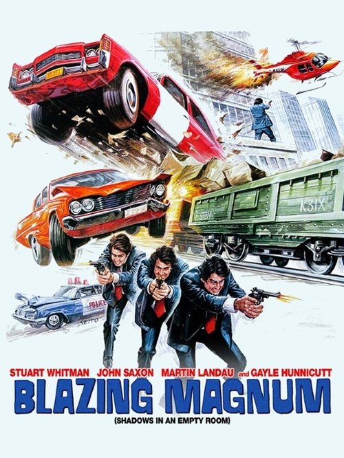 Poster 8