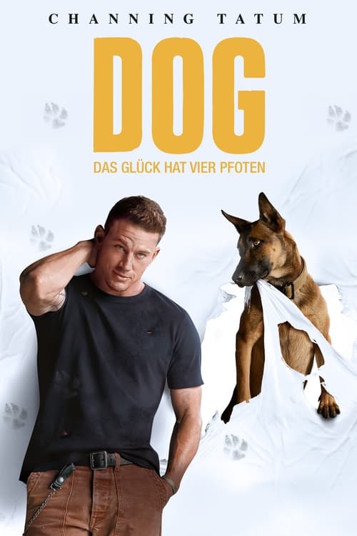 Dog poster