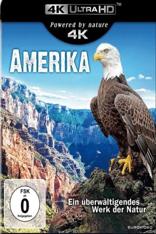 Amerika - Ein überwältigendes Werk der Natur movie poster player