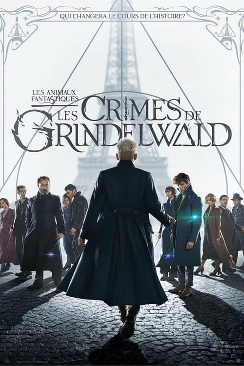 Image Les Animaux fantastiques : Les Crimes de Grindelwald