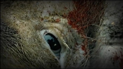 Melancholie der Engel